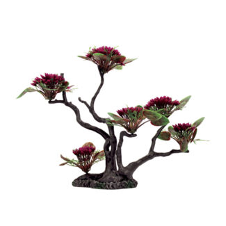 ArtUniq Blooming Bucephalandra on bonsai 30