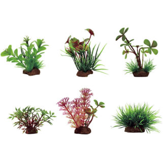 ArtUniq Plants Set 6XS
