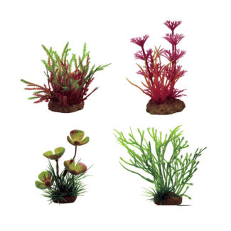 ArtUniq Plants Set 4XS