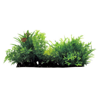 ArtUniq Moss with Plant Mix