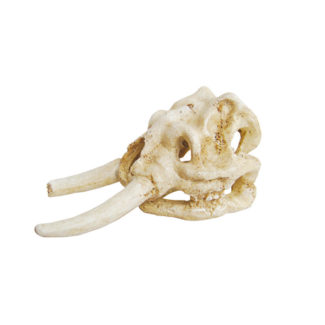 ArtUniq Elephant Skull