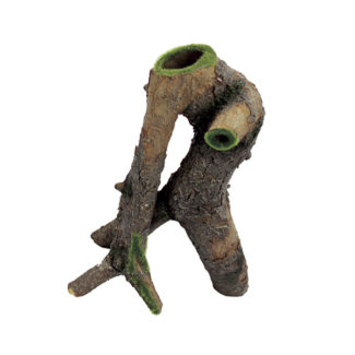 ArtUniq Winding Driftwood With Moss