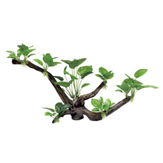 ArtUniq Branched Driftwood With Anubias XL