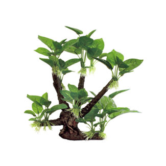 ArtUniq Branched Driftwood With Anubias S2