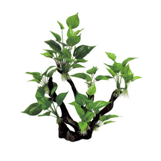 ArtUniq Branched Driftwood With Anubias M3