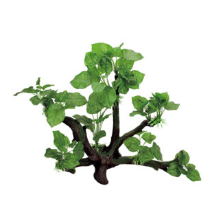 ArtUniq Branched Driftwood With Anubias L3